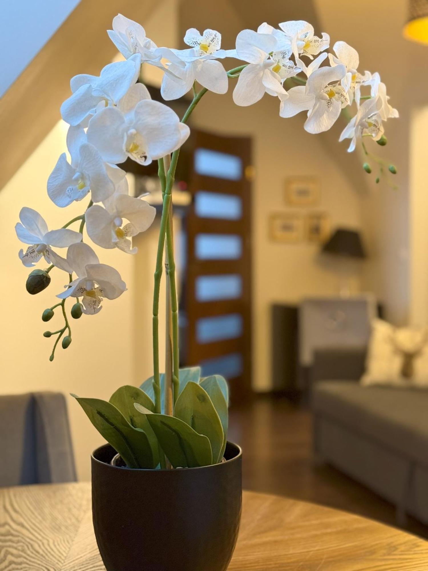 Apartament Glamour I Zakopane Extérieur photo